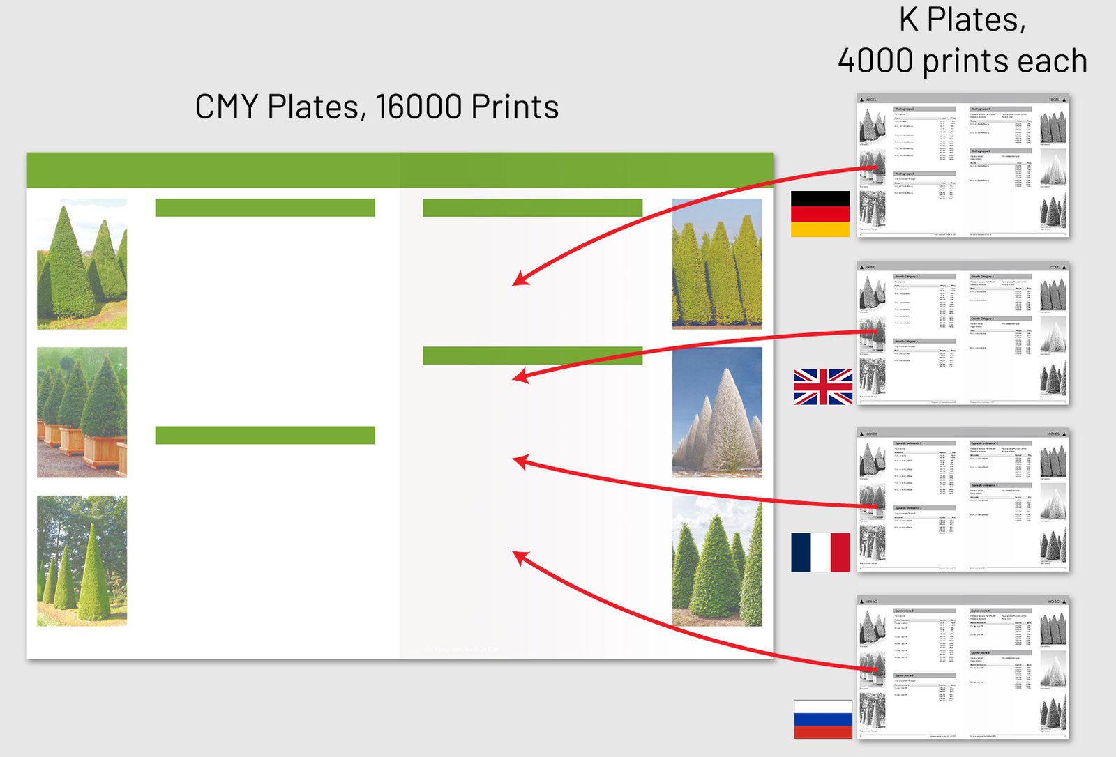 Shared CMY printing plates combined with separate black plates for each language version