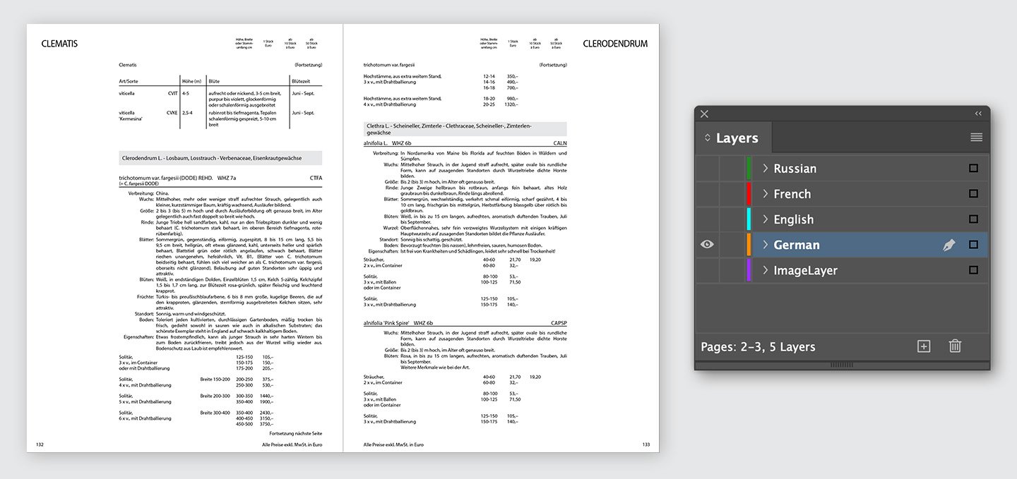 InDesign layer structure: language-specific text layers set in black only