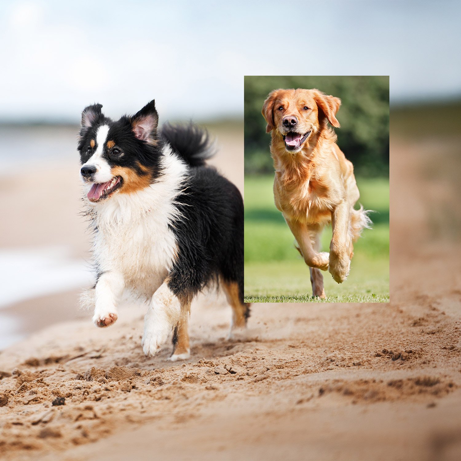 Creative adjustment example 2 – original before editing